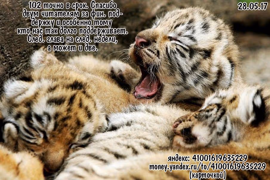 Маленькие шаги — Том 11 · Глава 102, страница 20