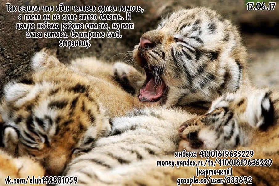 Маленькие шаги — Том 12 · Глава 105, страница 22