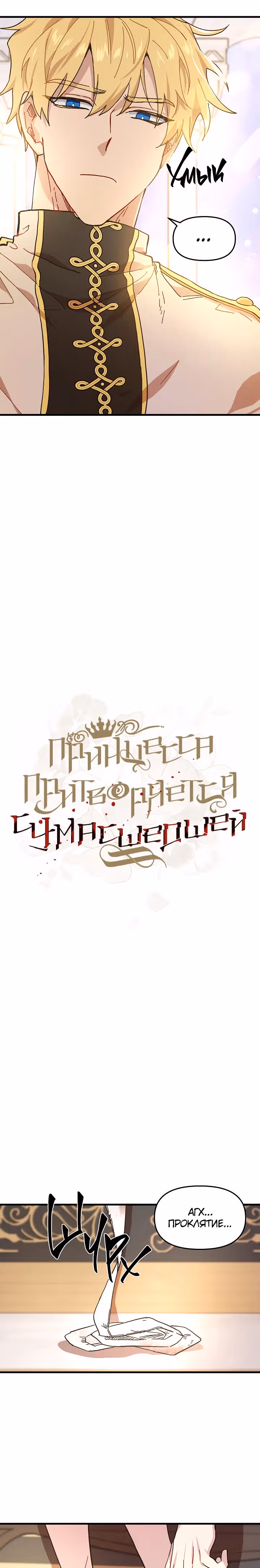 Принцесса притворяется сумасшедшей — Том 1 · Глава 2, страница 9