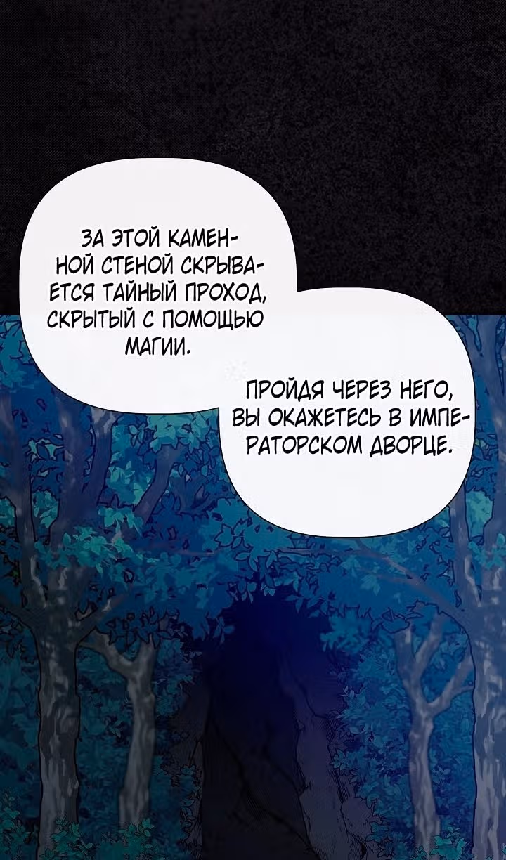 Золушка здесь совсем не я — Том 3 · Глава 114, страница 52