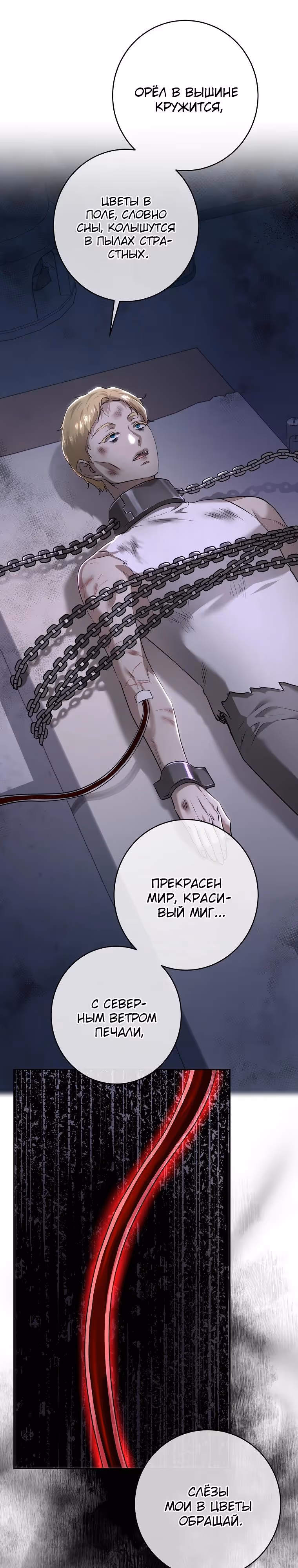 Принцесса, ставшая безумным цветком — Том 3 · Глава 106, страница 29