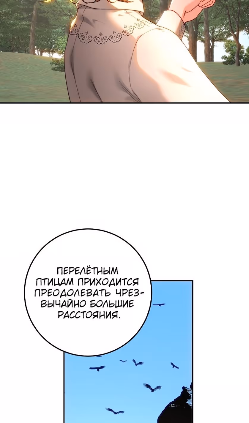 Принцесса, ставшая безумным цветком — Том 2 · Глава 84, страница 29