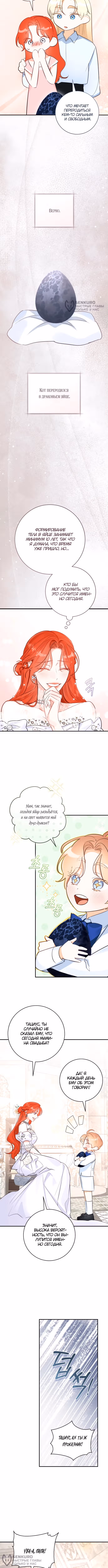 Брак эрцгерцога — афера — Том 2 · Глава 115, страница 8