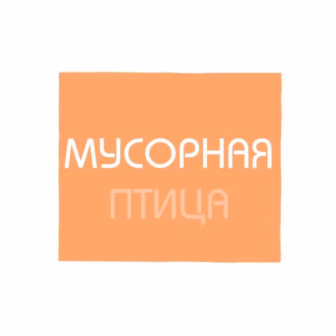 Мусорная птица — Том 1 · Глава 41, страница 1