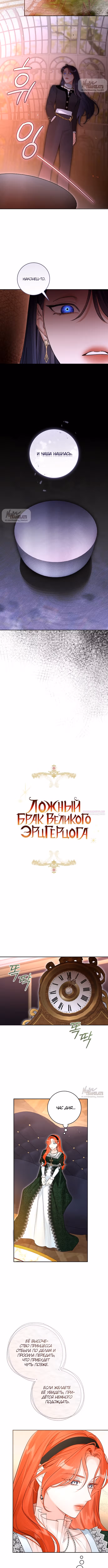 Брак эрцгерцога — афера — Том 2 · Глава 107, страница 5