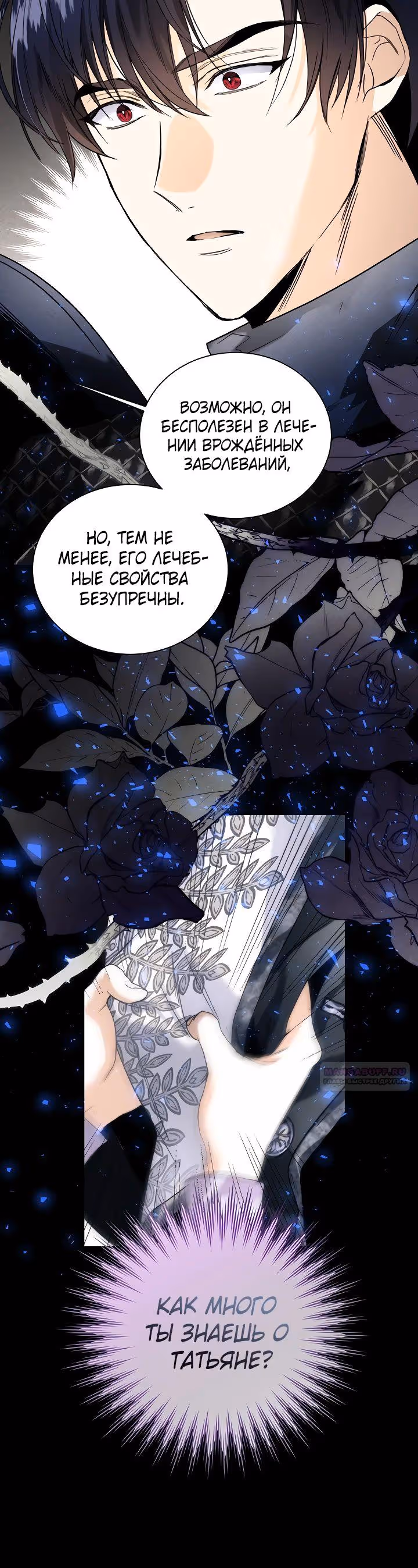 Королевская свадьба — Том 2 · Глава 81, страница 12