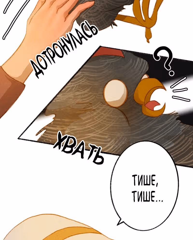Хонбарка — Том 1 · Глава 8, страница 17