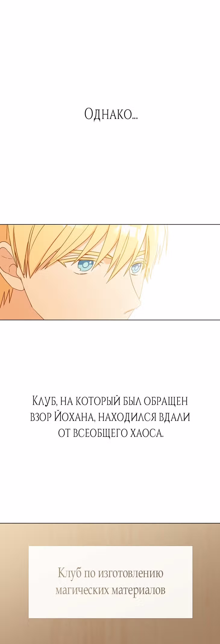 Дневник наблюдений Илены Эвой — Том 1 · Глава 8, страница 4