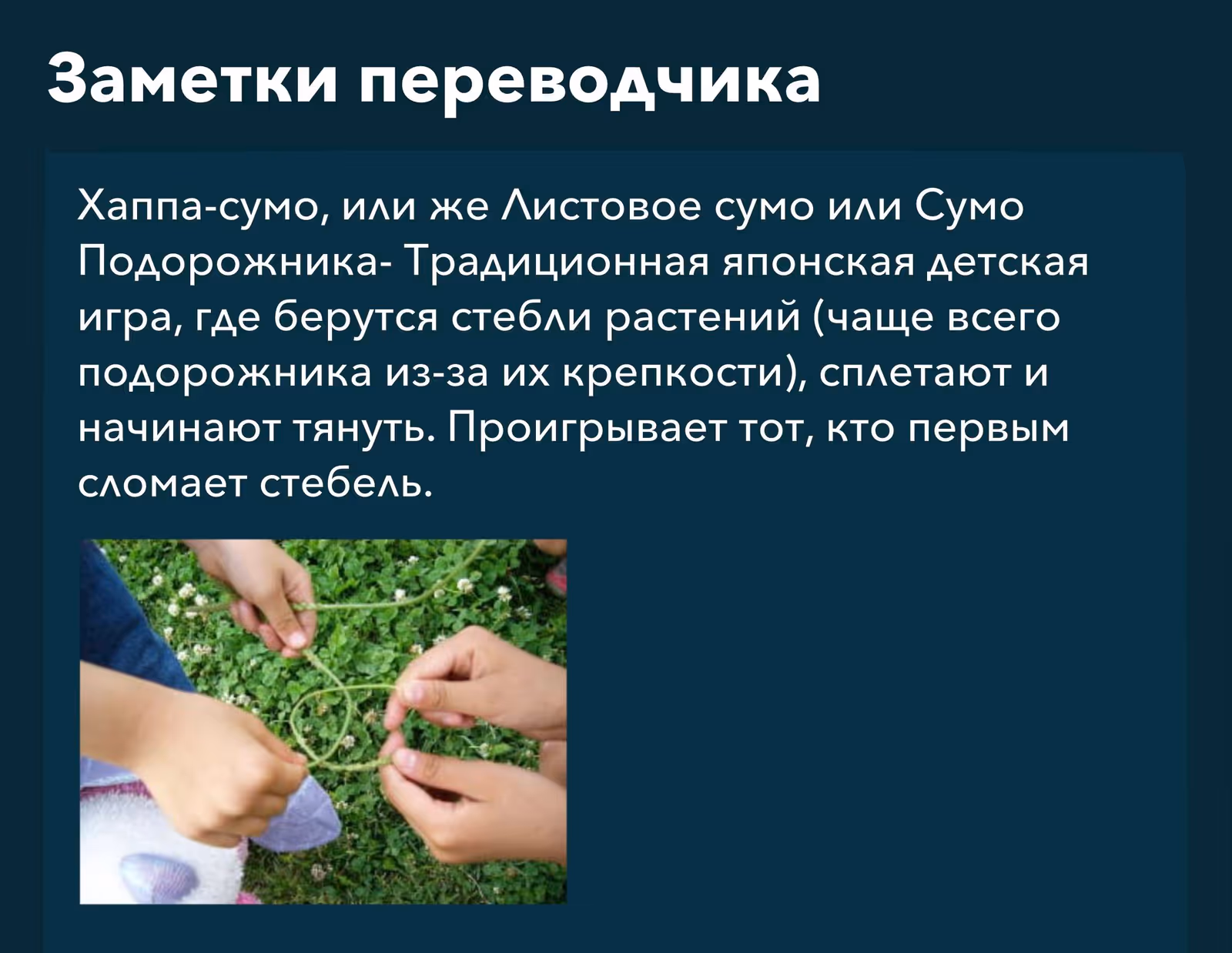 Повесть о Конце Света — Том 23 · Глава 107, страница 17