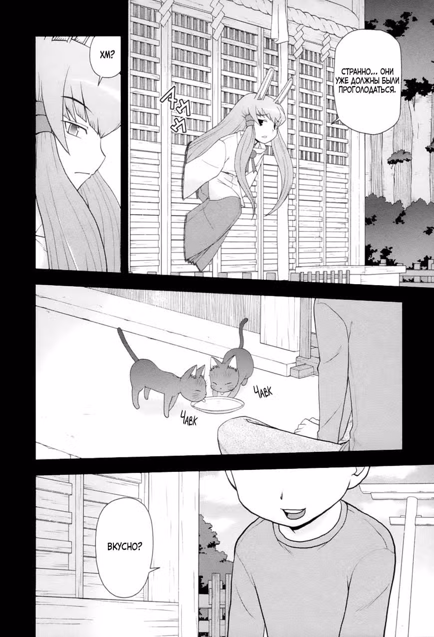 Кошачья любовь — Том 11 · Глава 91, страница 6