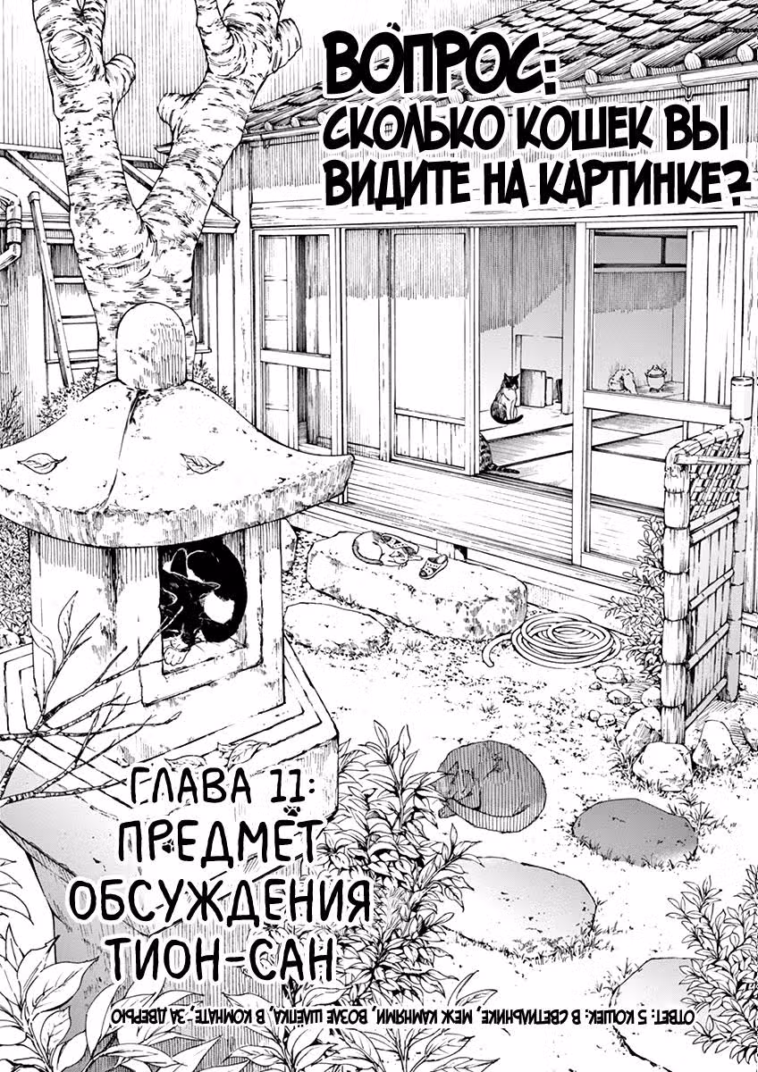 Кошачий храм Тион-сан — Том 2 · Глава 11, страница 2