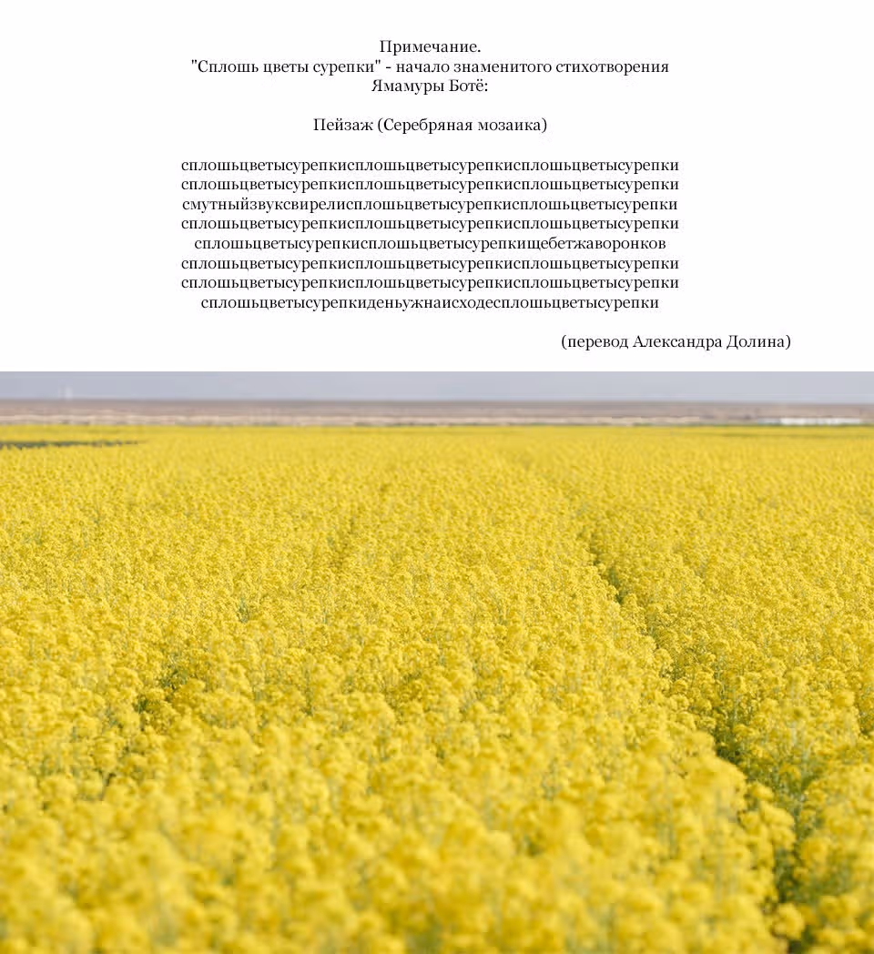 Птичий хлеб — Том 3 · Глава 53, страница 11