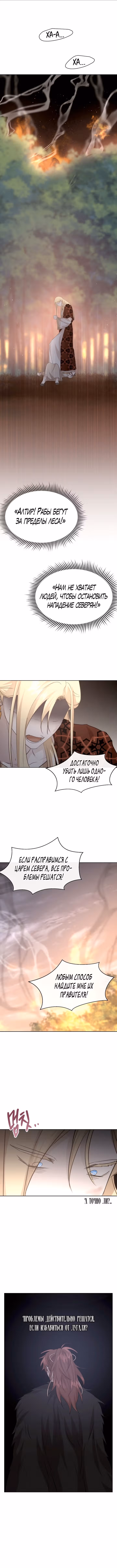 Золотой лес — Том 3 · Глава 85, страница 13