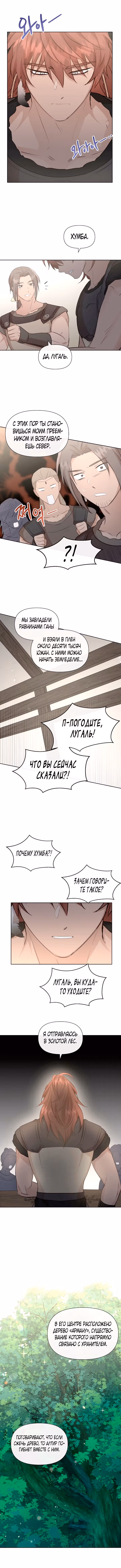 Золотой лес — Том 3 · Глава 81, страница 6