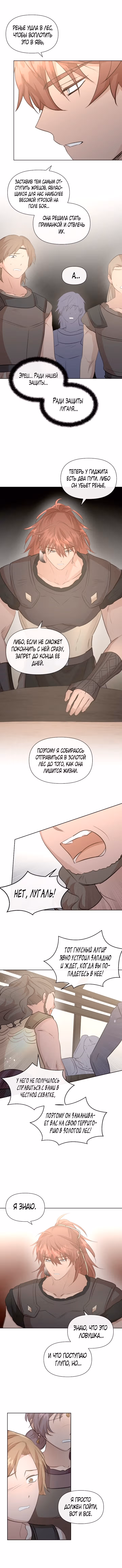 Золотой лес — Том 3 · Глава 81, страница 7
