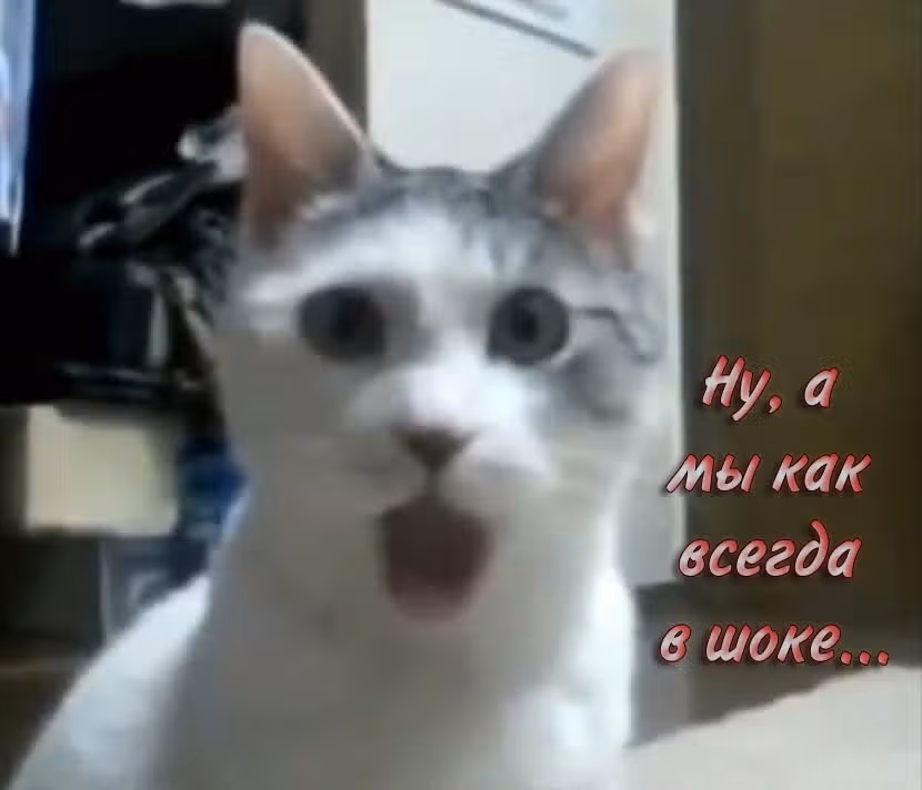 Хороший конец — Том 14 · Глава 130, страница 24