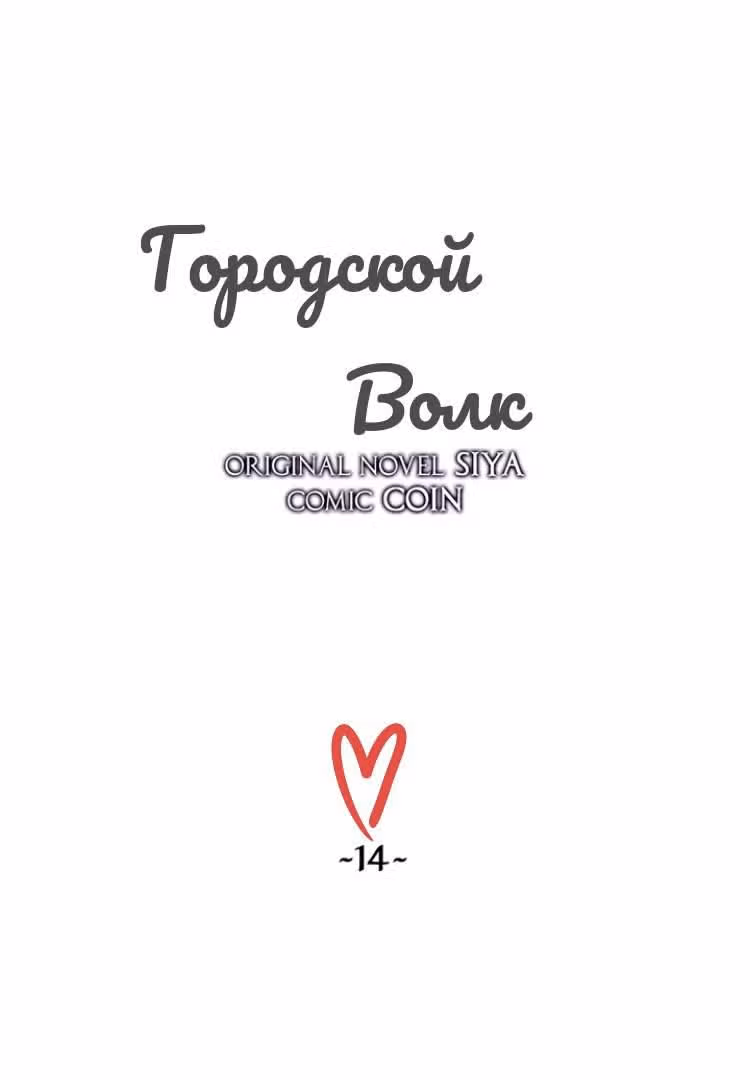 Сика Вульф — Том 1 · Глава 14, страница 17
