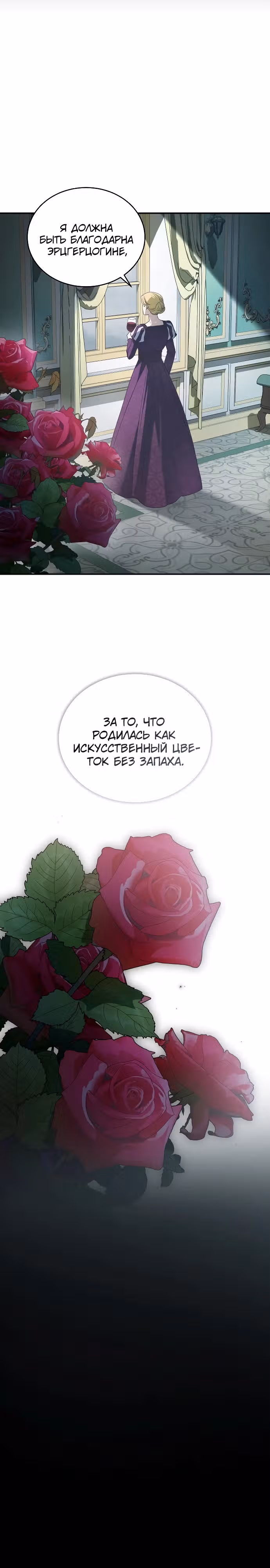 Цветок эрцгерцога под угрозой — Том 1 · Глава 0, страница 28
