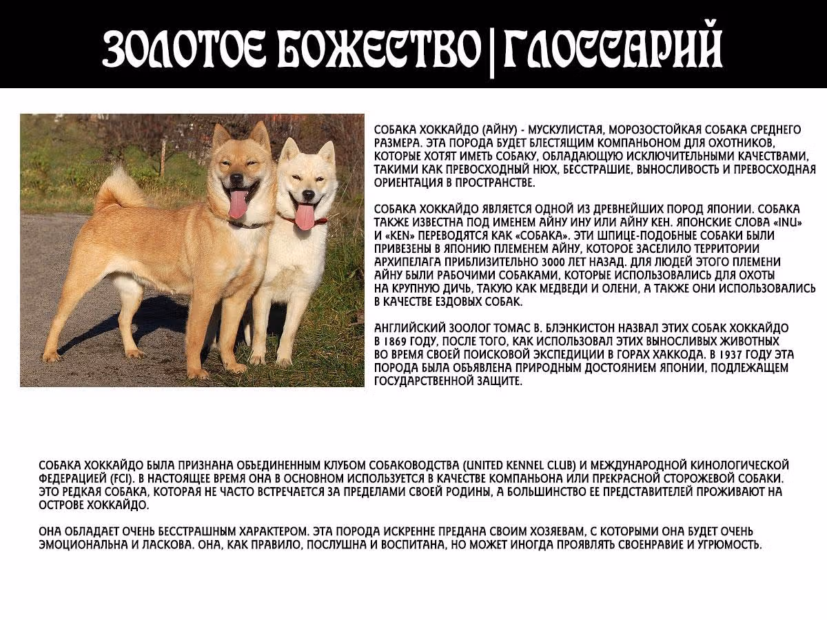 Золотое божество — Том 4 · Глава 29, страница 20