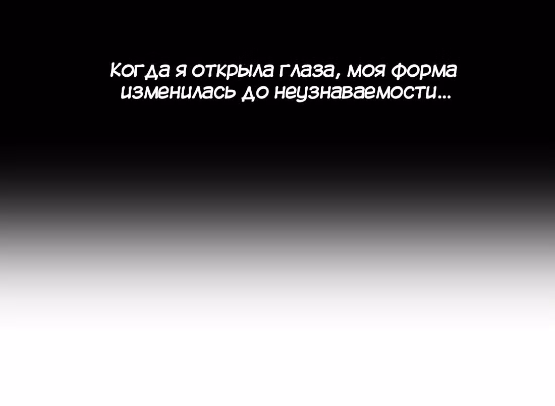 Моих любовниц так много, что пришлось вознестись на небеса — Том 1 · Глава 9.5, страница 22