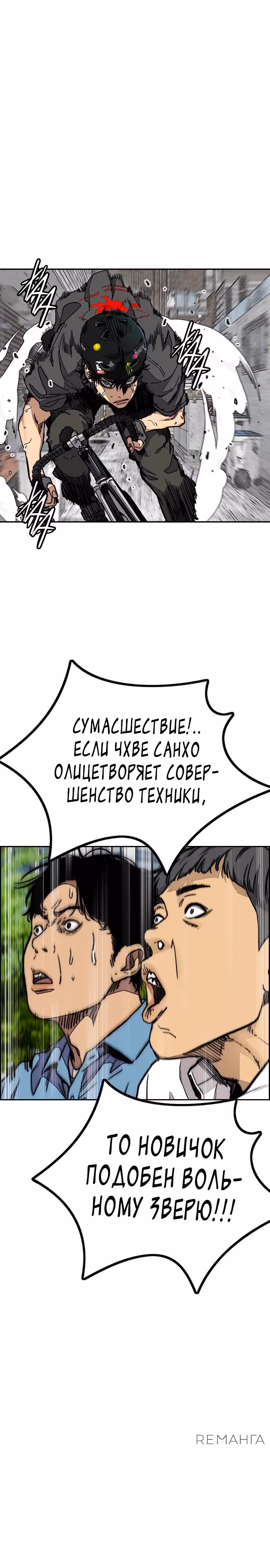 Ветролом — Том 5 · Глава 174, страница 13