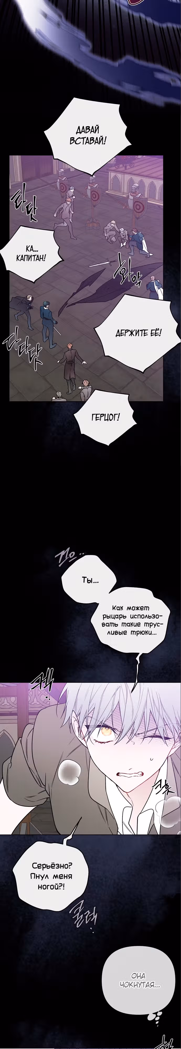 Из рыцаря в леди — Том 2 · Глава 112, страница 13