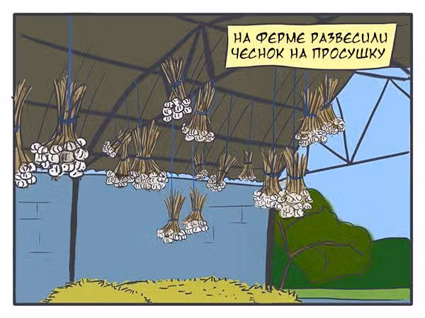 Николалала — Том 1 · Глава 11, страница 2
