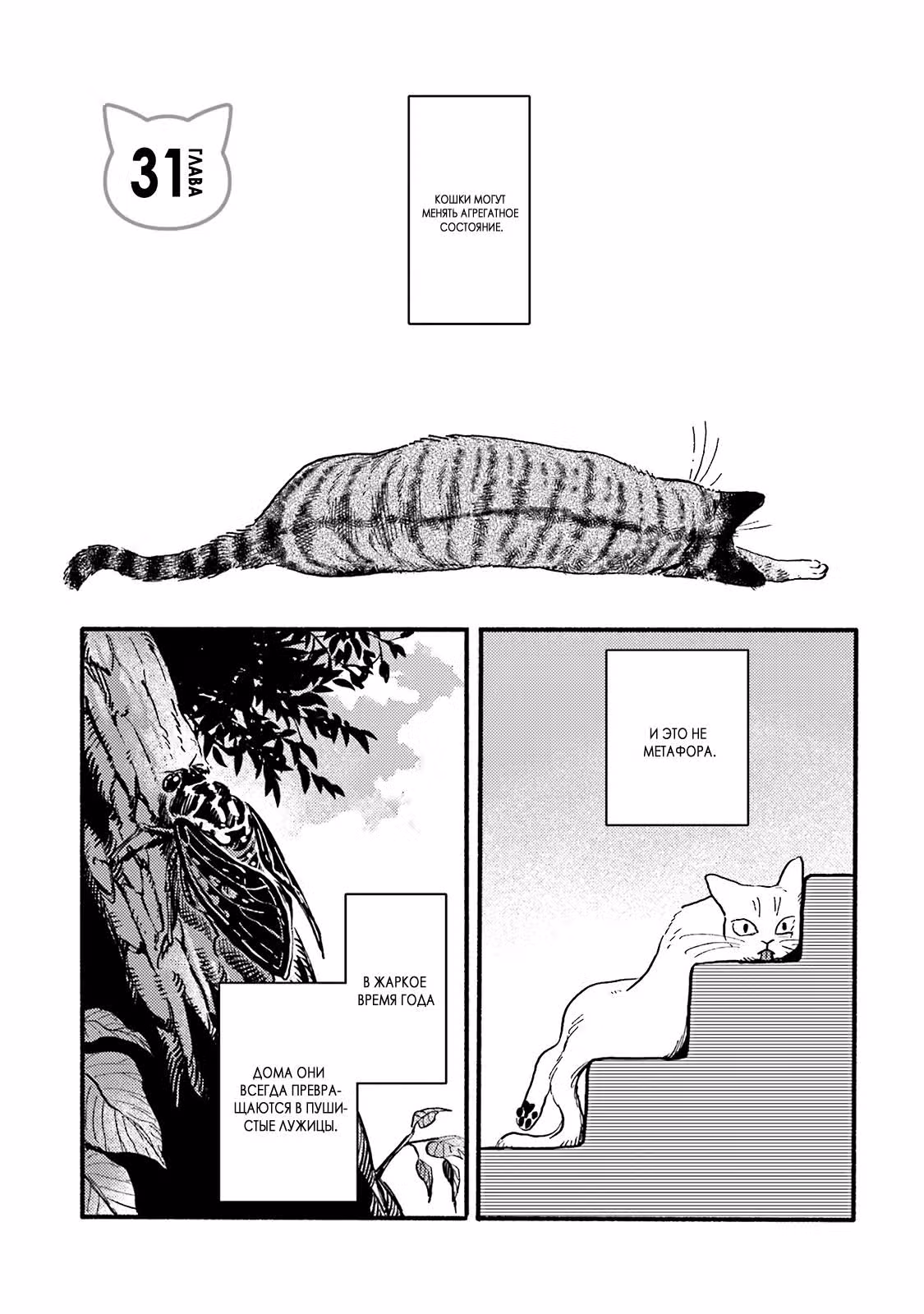 Кошачья игрушка — Том 2 · Глава 31, страница 2