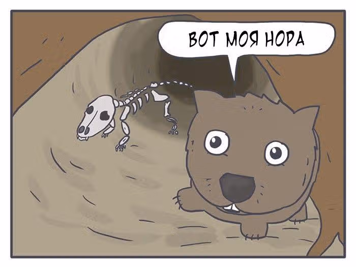 Николалала — Том 3 · Глава 42, страница 14
