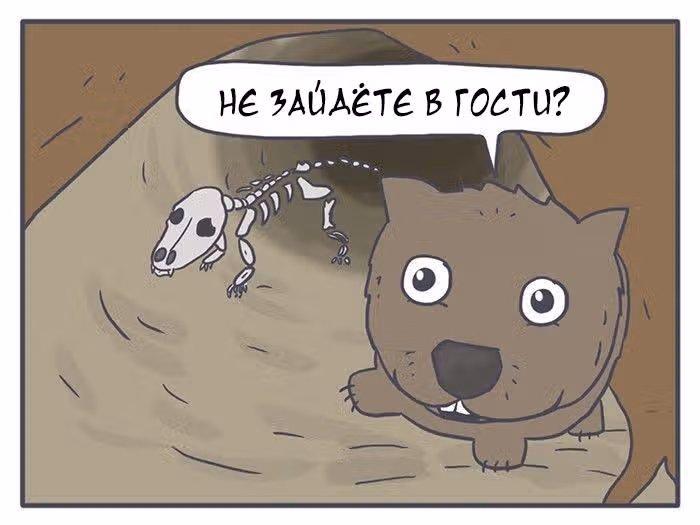 Николалала — Том 3 · Глава 42, страница 19