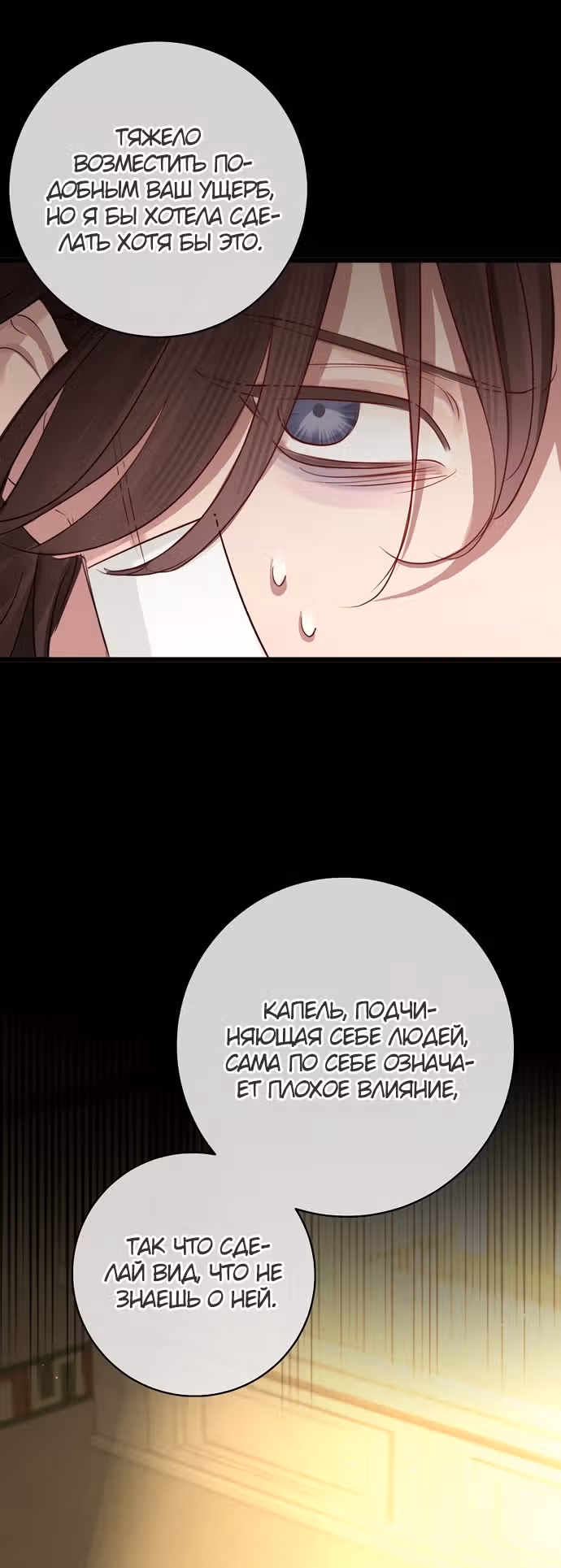 Брак эрцгерцога — афера — Том 3 · Глава 92, страница 21