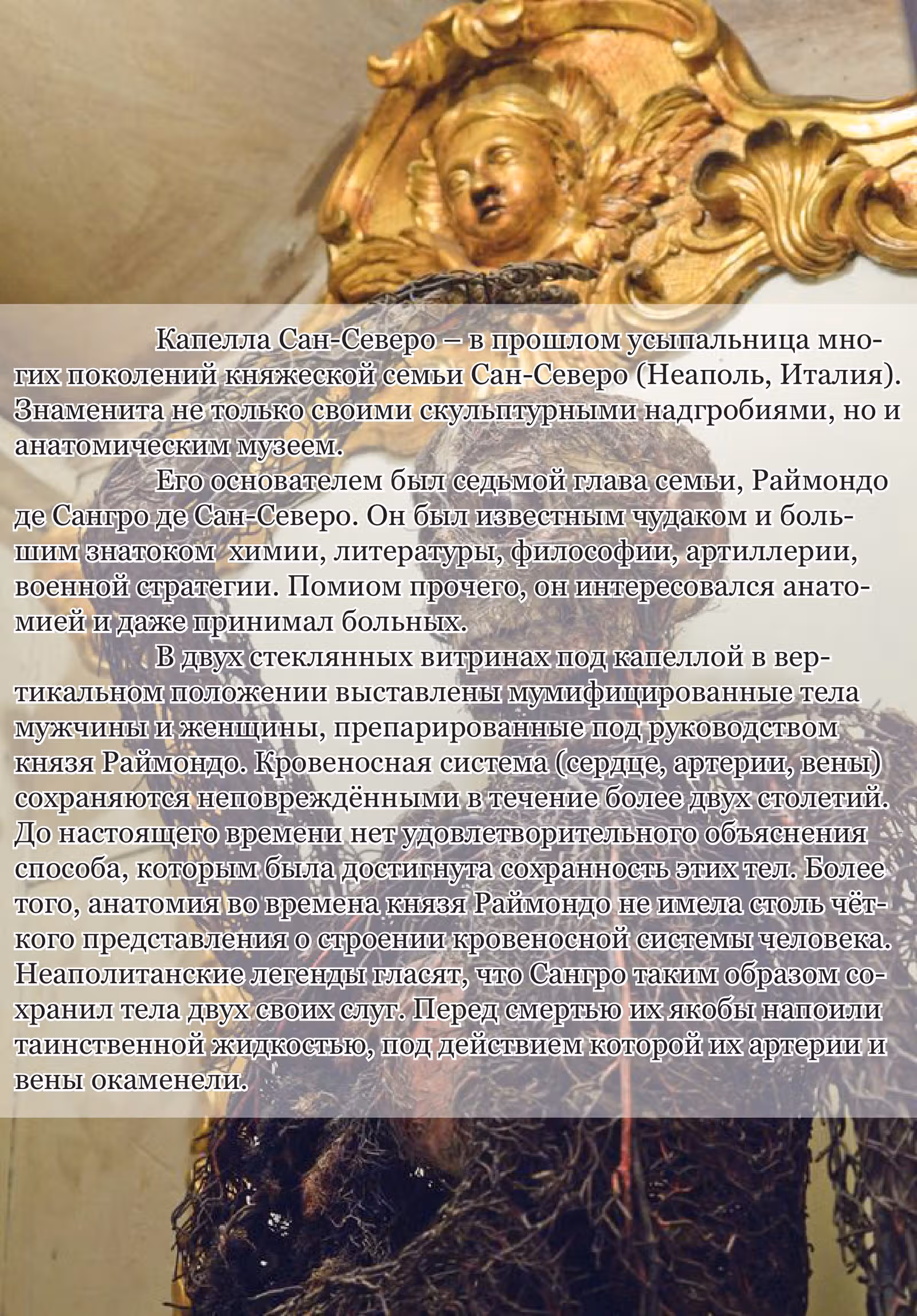 Куросаги. Служба доставки трупов — Том 4 · Глава 17, страница 55