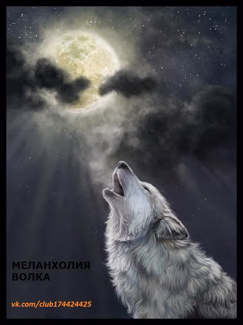 Время возлюбленных — Том 1 · Глава 5, страница 1