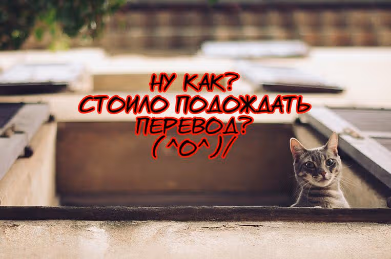 Стоять, Волк! — Том 1 · Глава 2, страница 4
