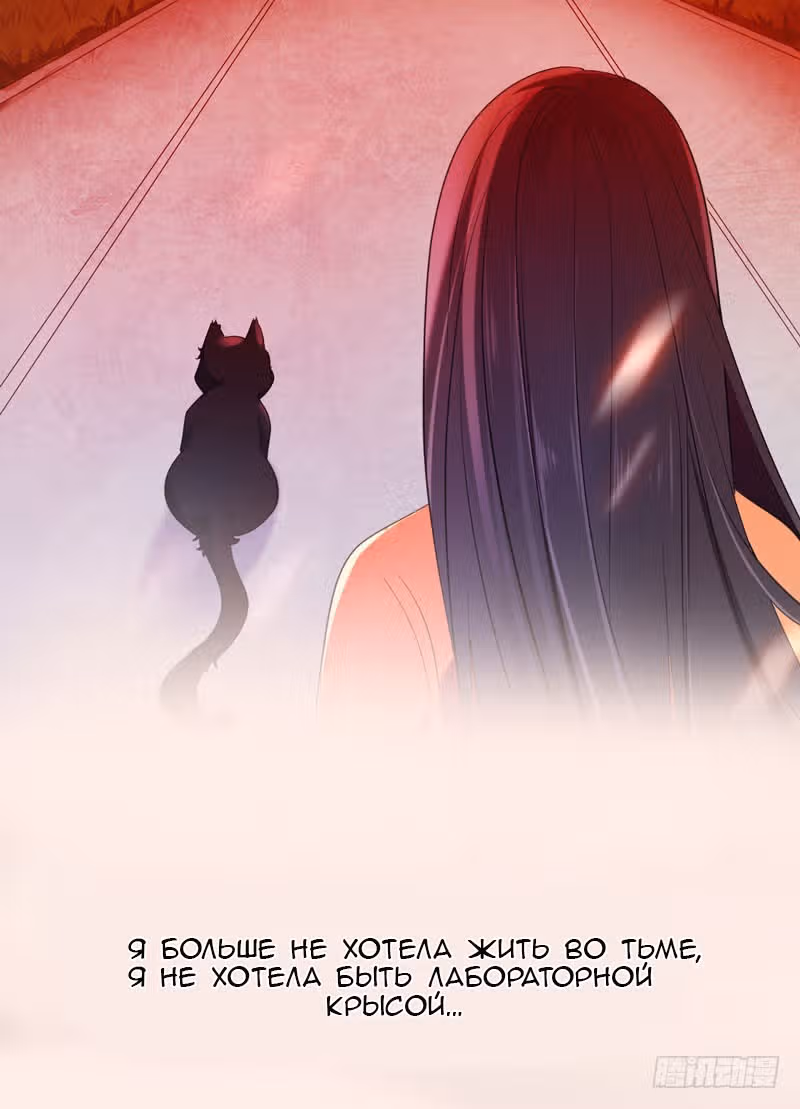 Гениальный Доктор — Том 1 · Глава 0, страница 3