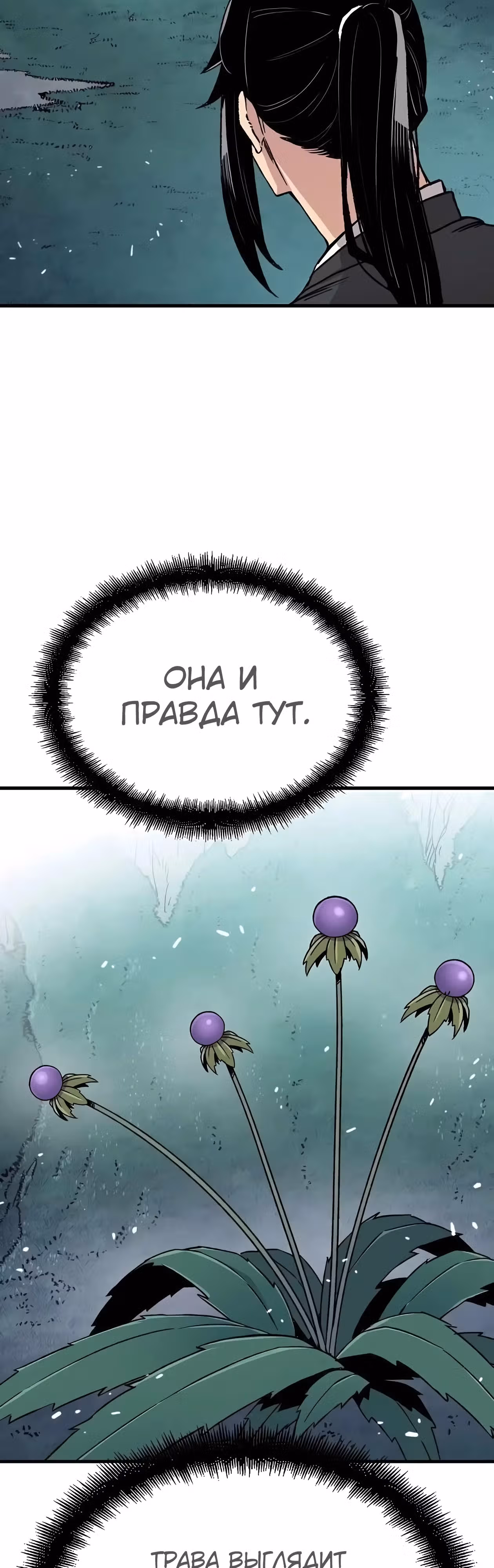 Реинкарнация Небесного Демона — Том 1 · Глава 42, страница 44