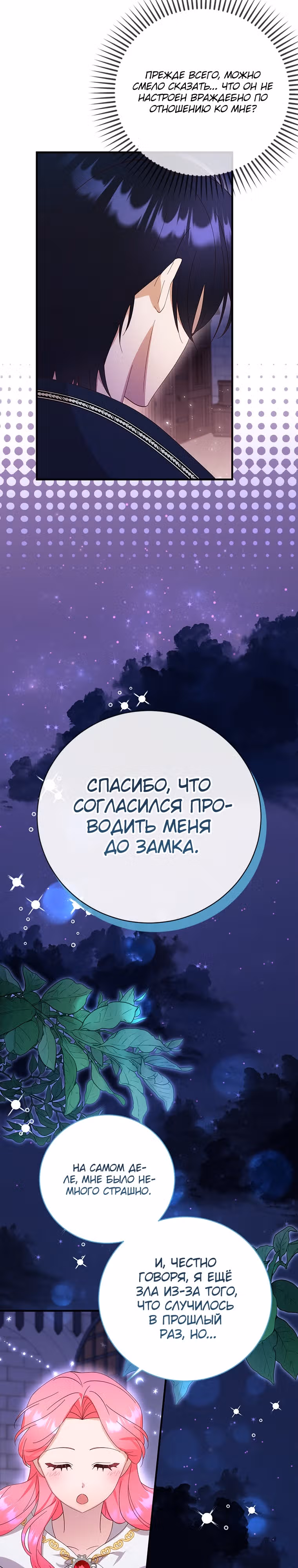 Я случайно украла невинность тирана — Том 1 · Глава 12, страница 13