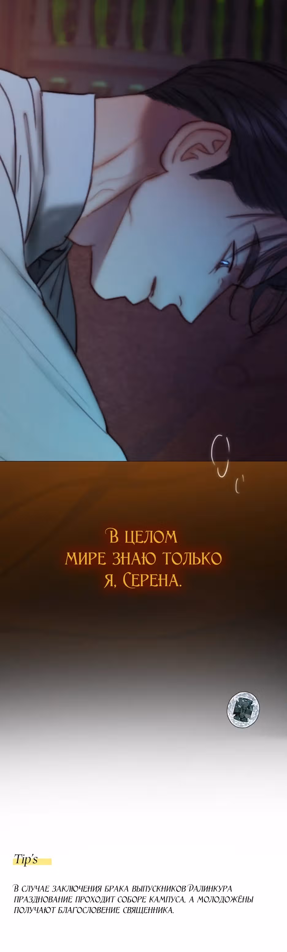 Серена — Том 2 · Глава 108, страница 28