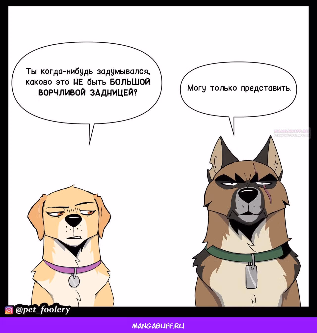 Брут и Пикси — Том 1 · Глава 314, страница 5