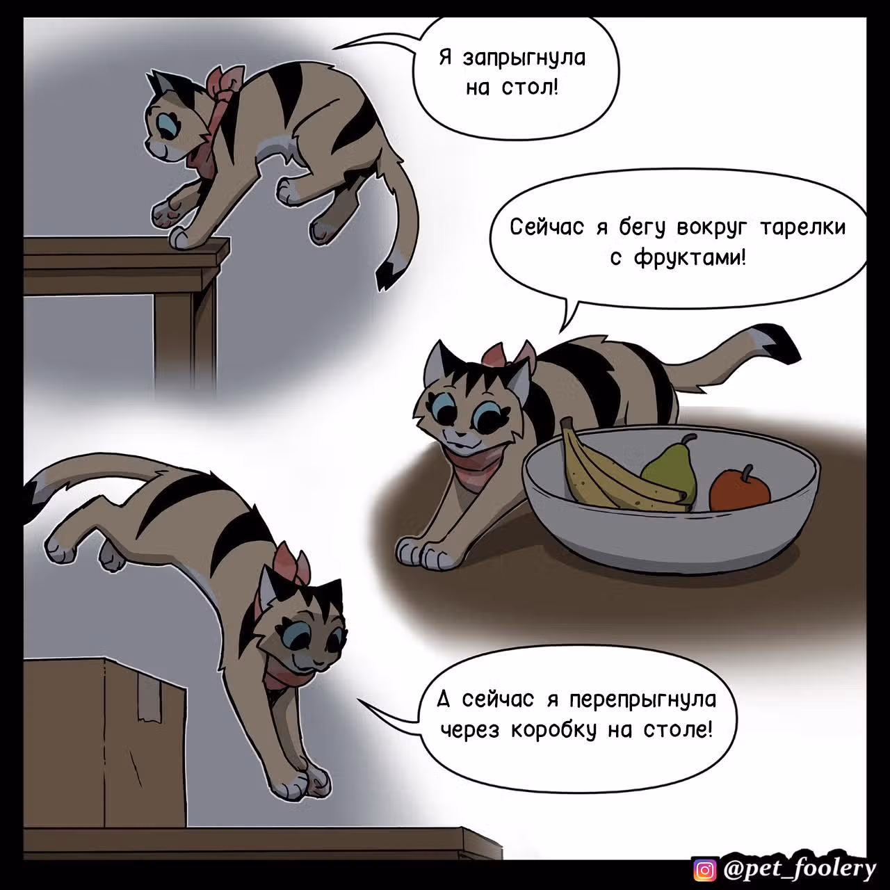 Брут и Пикси — Том 1 · Глава 312, страница 3