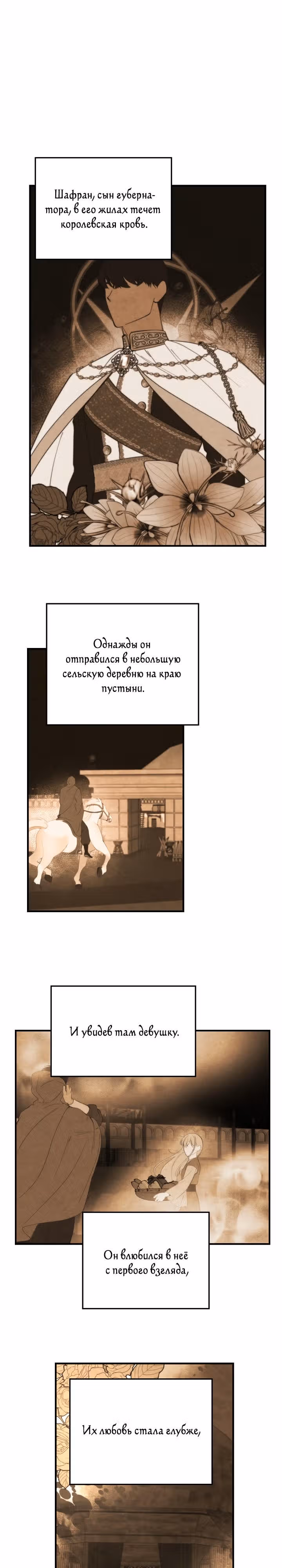 Амина из Лампы — Том 1 · Глава 99, страница 14