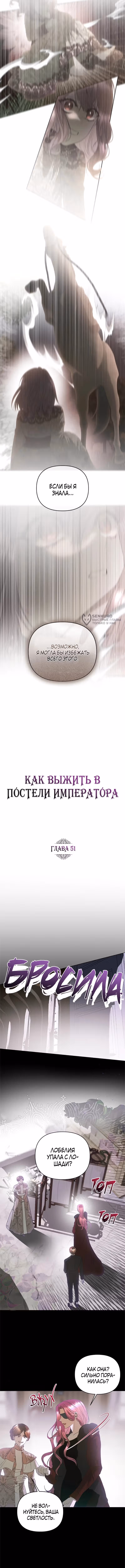 Как выжить в постели императора — Том 2 · Глава 51, страница 3