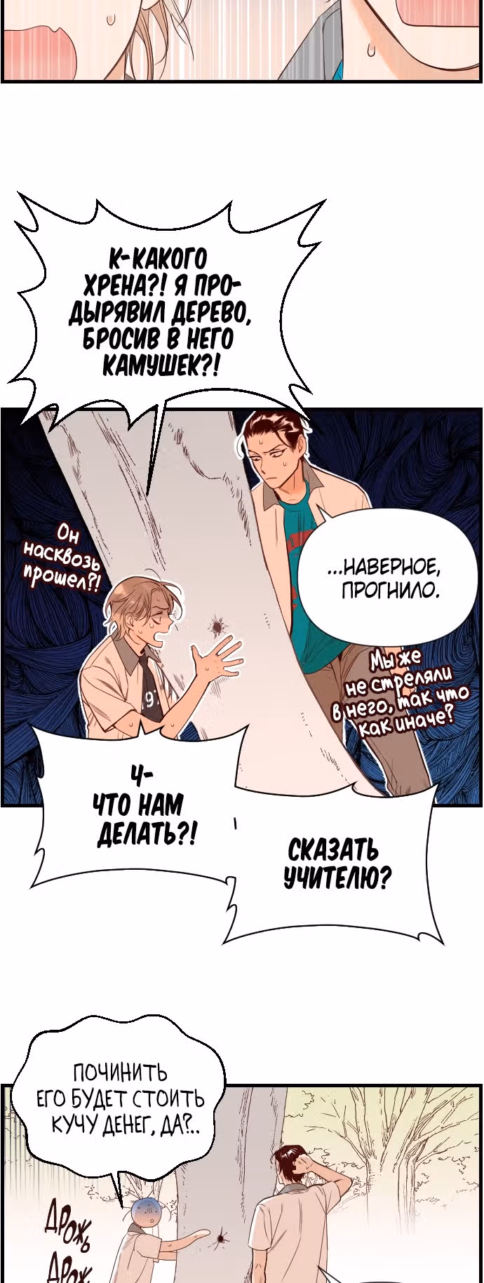 Дьявольский выстрел — Том 1 · Глава 2, страница 12