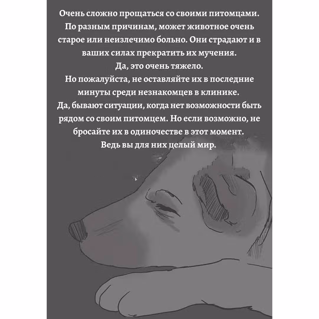 Любящая смерть — Том 1 · Глава 11, страница 9