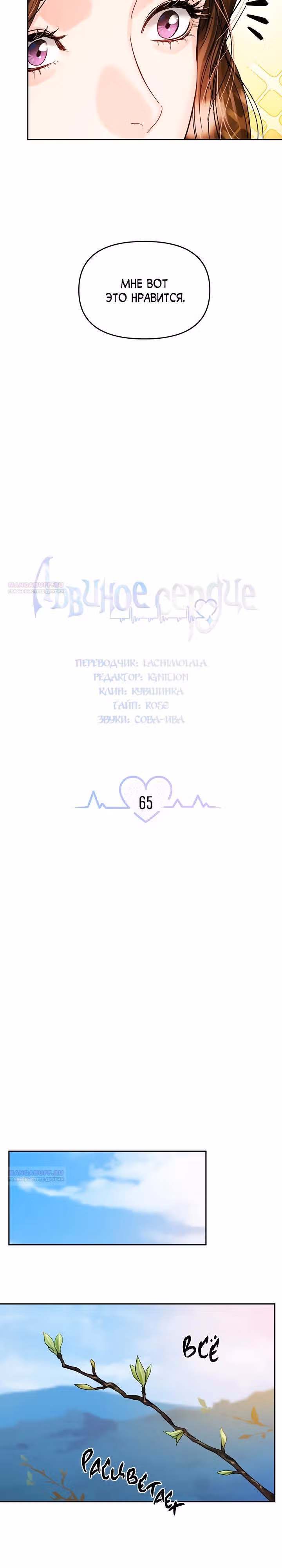 Львиное сердце — Том 2 · Глава 65, страница 18