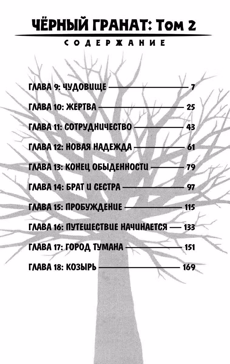 Чёрный Гранат — Том 2 · Глава 9, страница 5