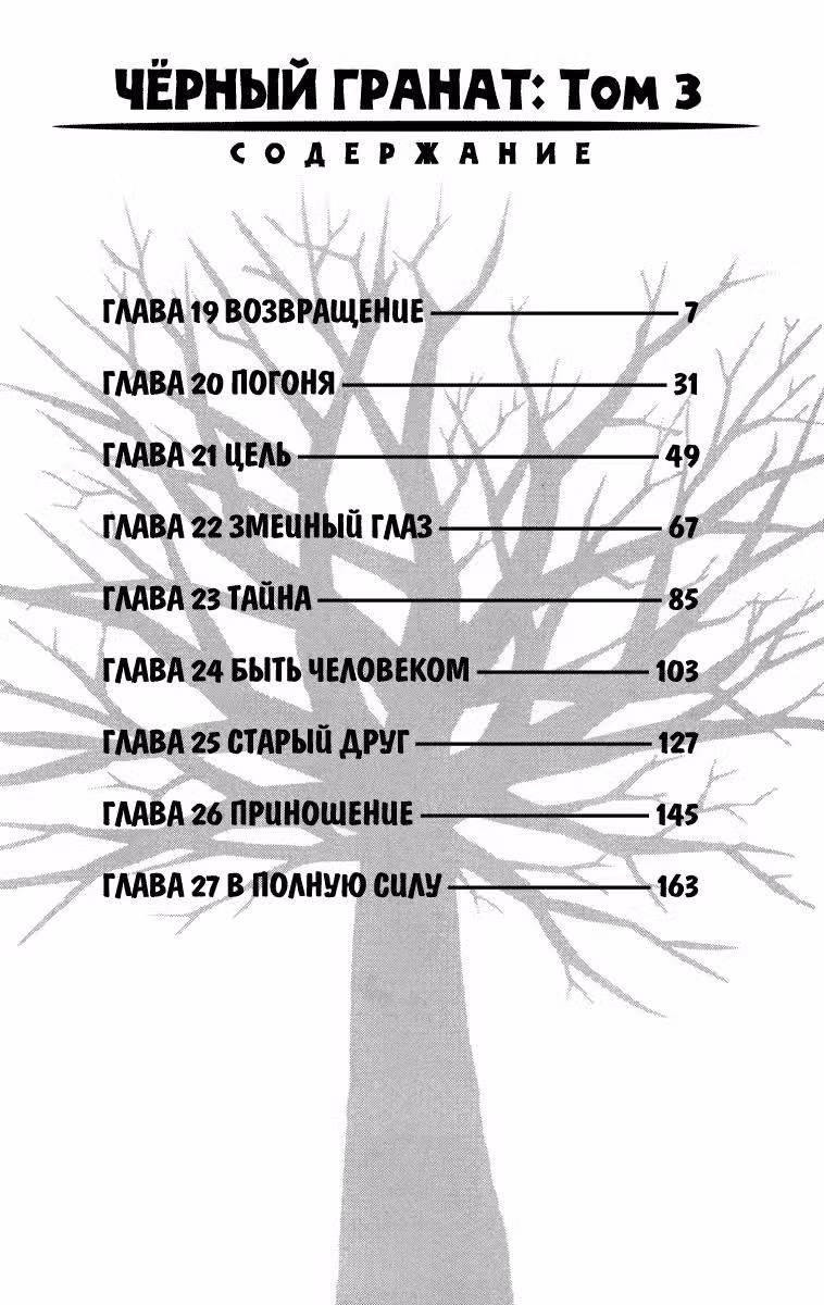 Чёрный Гранат — Том 3 · Глава 19, страница 5