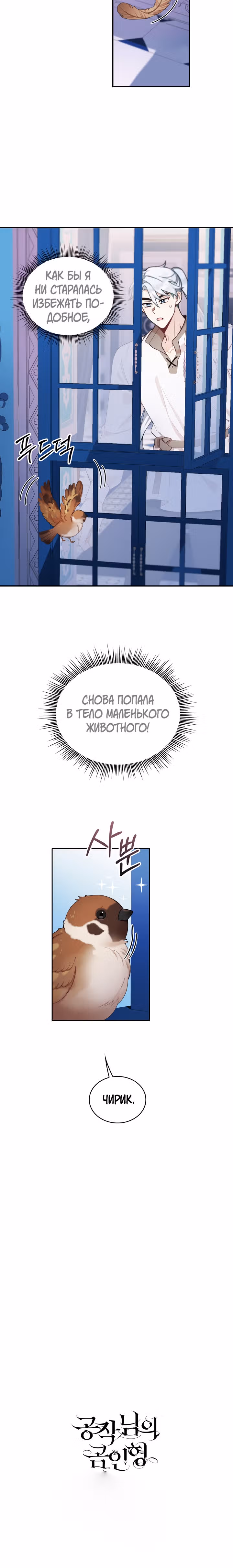 Плюшевый мишка герцога — Том 1 · Глава 33, страница 19