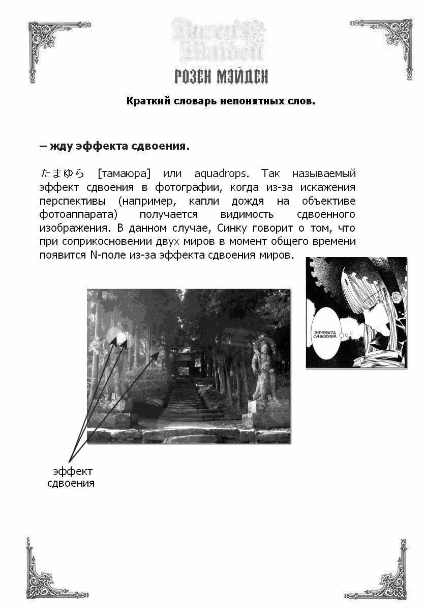 Девица Розен 2 — Том 2 · Глава 9, страница 11