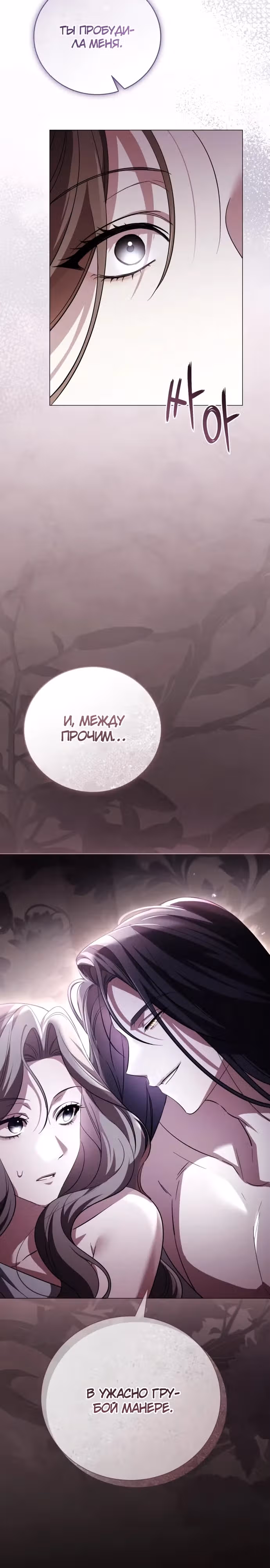 Чёрная цепь — Том 1 · Глава 2, страница 14